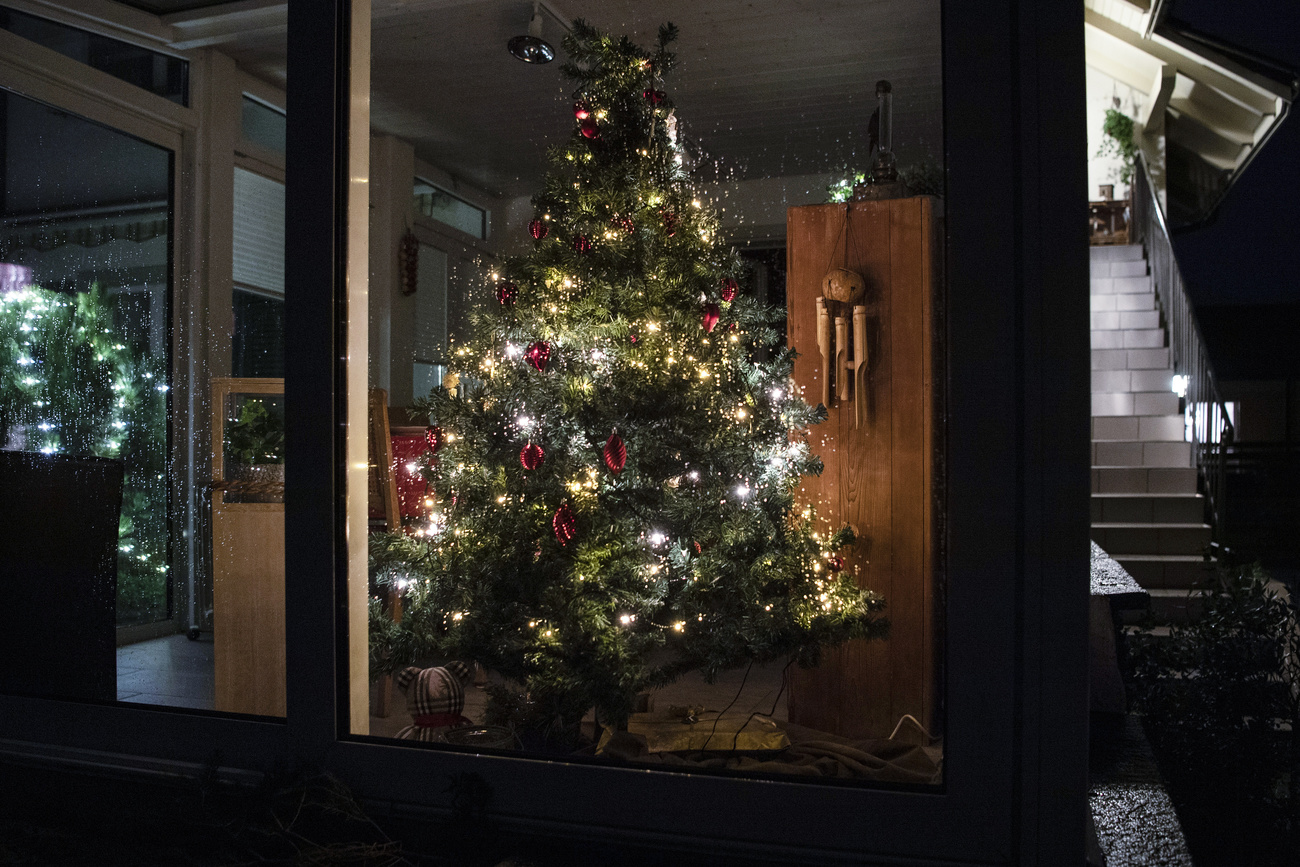 Wärmt die Seele und erfreut das Herz: Ode an den Weihnachtsbaum