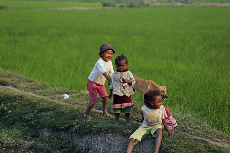 Children play next to their family's rice field near the city of Antananarivo, Madagascar, Thursday, Oct. 24, 2013. Madagascar will hold elections on Friday that organizers hope will end political tensions that erupted in a 2009 coup and help lift the aid-dependent country out of poverty. The island nation in the Indian Ocean plunged into turmoil after Andry Rajoelina, the current president, forcibly took power from former President Marc Ravalomanana with the backing of the military. (AP Photo/Schalk van Zuydam)