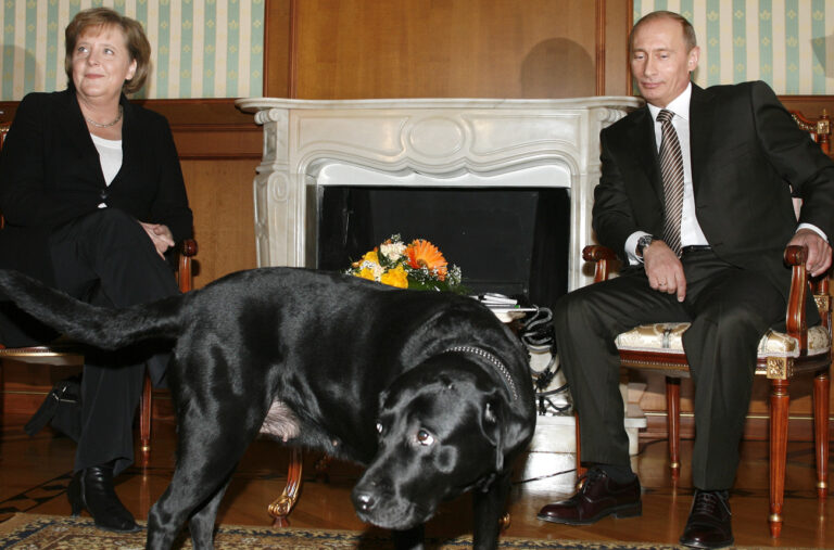 German Chancellor Angela Merkel and Russian President Vladimir Putin are seen as Putin's dog Cony walks past, during the meeting in Putin's residence in the Russian Black Sea resort of Sochi, Sunday, Jan. 21, 2007. Merkel arrived on Sunday with working visit to Russia for talks with Putin that come amid a push to reinvigorate the Middle East peace process and questions of Europe's dependence on Russian natural gas and oil. (AP Photo/Mikhail Metzel)