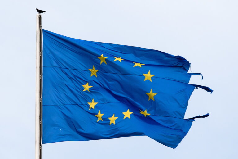 epa07644276 A hooded crow sits on top of a pole of a frayed flag of the European Union at the seat of the German Parliament Bundestag in Berlin, Germany, 12 June 2019. EPA/CLEMENS BILAN