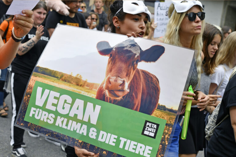 Kundgebung Animal Rights March in Zuerich am Samstag, 17. August 2019. (KEYSTONE/Walter Bieri)