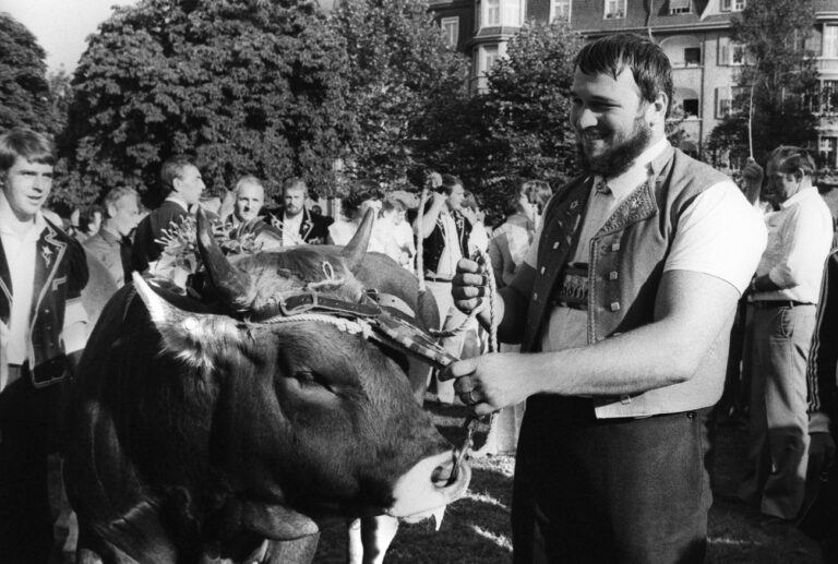 Ernst Schlaepfer posiert am 24. August 1980 als Schwingerkoenig mit dem jungen Stier 