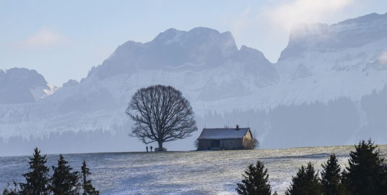 © KEYSTONE / GIAN EHRENZELLER