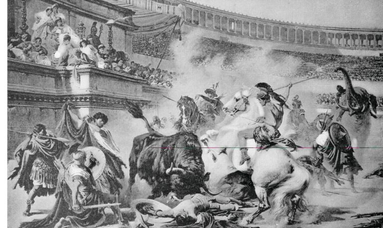 Bull fight at the Coliseum