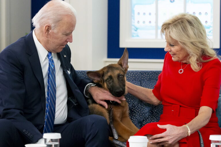epa09656648 US President Joe Biden (L) and First Lady Jill Biden (R) pet their dog, a German Shepherd puppy named 'Commander', while virtually meeting with United States military service members on Christmas Day, in the Eisenhower Executive Office Building on the White House complex in Washington, DC, USA, 25 December 2021. EPA/MICHAEL REYNOLDS