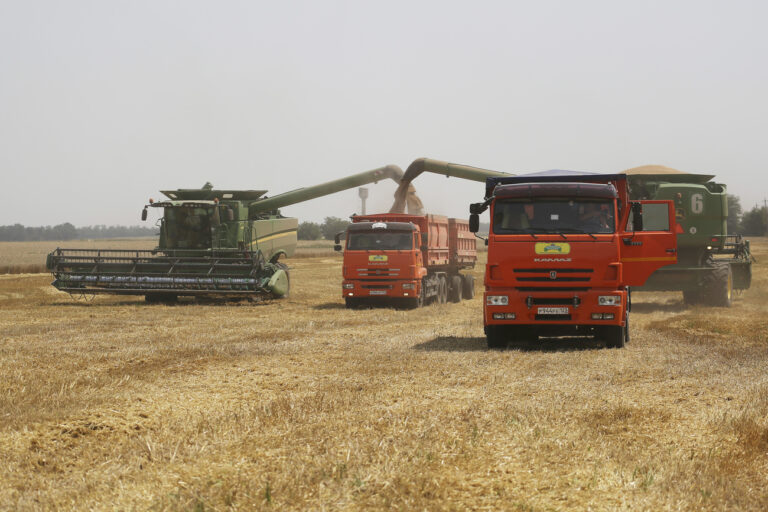 Farmers harvest with their combines in a wheat field near the village Tbilisskaya, Russia, July 21, 2021. Ukraine and Russia account for a third of global wheat and barley export. (KEYSTONE/AP Photo/Vitaly Timkiv)