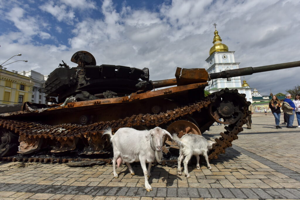 epa09963189 Goats walk near destroyed Russian armored vehicles displayed for Ukrainians to see at Mykhailivska Square in downtown Kyiv, Ukraine, 21 May 2022. Russian troops entered Ukraine on 24 February resulting in fighting and destruction in the country and triggering a series of severe economic sanctions on Russia by Western countries. EPA/OLEG PETRASYUK