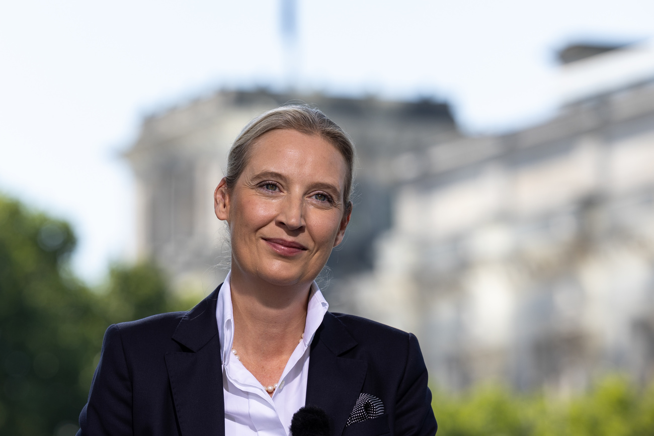 AfD-Chefin Alice Weidel Bezeichnete Das Ende Der NS-Zeit Als ...