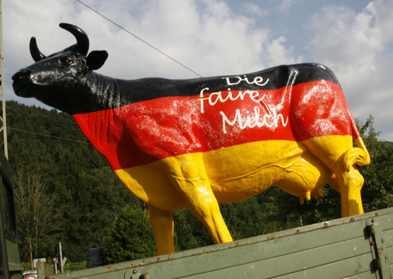 Mit einer schwarz-rot-goldenen Milchkuh demonstriert am Montag, 28. Juli 2008, ein Landwirt im Hoellental fuer hoehere MIlchpreise. Am Vortag des Berliner Milch-Gipfels demonstrieren die Milchbauern im Land erneut fuer bessere Erzeugerpreise. (AP Photo/ Winfried Rothermel) --- A scale model cow painted in the German national colors is set up on a farmer's vehicle to protests for better milk prices, in Hoellental, or Hell Valley, in the German Black Forest region, southern Germany, on Monday, July 28, 2008. Dairy farmers demand better prices for their milk. Slogan reads: 