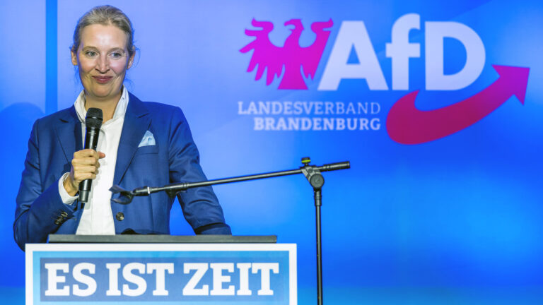 11.09.2024, Brandenburg, Forst (Lausitz): Alice Weidel, Co-Vorsitzende der AfD Deutschland, spricht bei einer Wahlkampfveranstaltung in Brandenburg. Die Wahl zum Landtag Brandenburgs findet am 22. September 2024 statt. Foto: Frank Hammerschmidt/dpa +++ dpa-Bildfunk +++ (KEYSTONE/DPA/Frank Hammerschmidt)