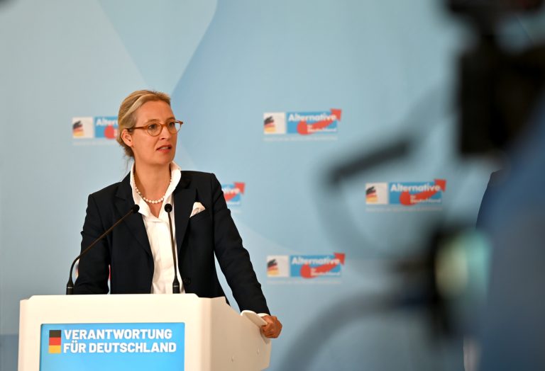 15.10.2024, Berlin: Alice Weidel, AfD-Bundesvorsitzende und Fraktionsvorsitzende der AfD, gibt ein Statement im Reichstag. Foto: Rabea Gruber/dpa +++ dpa-Bildfunk +++ (KEYSTONE/DPA/Rabea Gruber)