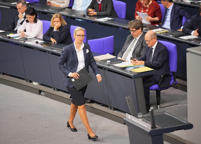 13.11.2024, Berlin: Alice Weidel, Fraktionsvorsitzende der AfD und AfD-Bundesvorsitzende, geht im Plenum des Bundestags nach der Regierungserklärung des Bundeskanzlers zum Rednerpult. Themen sind u.a. das Ende der Ampelkoalition und die bevorstehende Neuwahl des Bundestags. Foto: Michael Kappeler/dpa +++ dpa-Bildfunk +++ (KEYSTONE/DPA/Michael Kappeler)