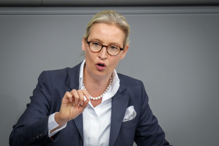 13.11.2024, Berlin: Alice Weidel, AfD-Vorsitzende und Fraktionsvorsitzende der AfD, spricht bei der Sitzung des Bundestags nach der Regierungserklärung. Themen sind u.a. das Ende der Ampelkoalition und die bevorstehende Neuwahl des Bundestags. Foto: Kay Nietfeld/dpa +++ dpa-Bildfunk +++ (KEYSTONE/DPA/Kay Nietfeld)